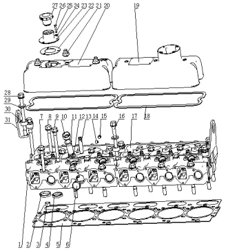 Cylinder head and cylinder head cover assembly