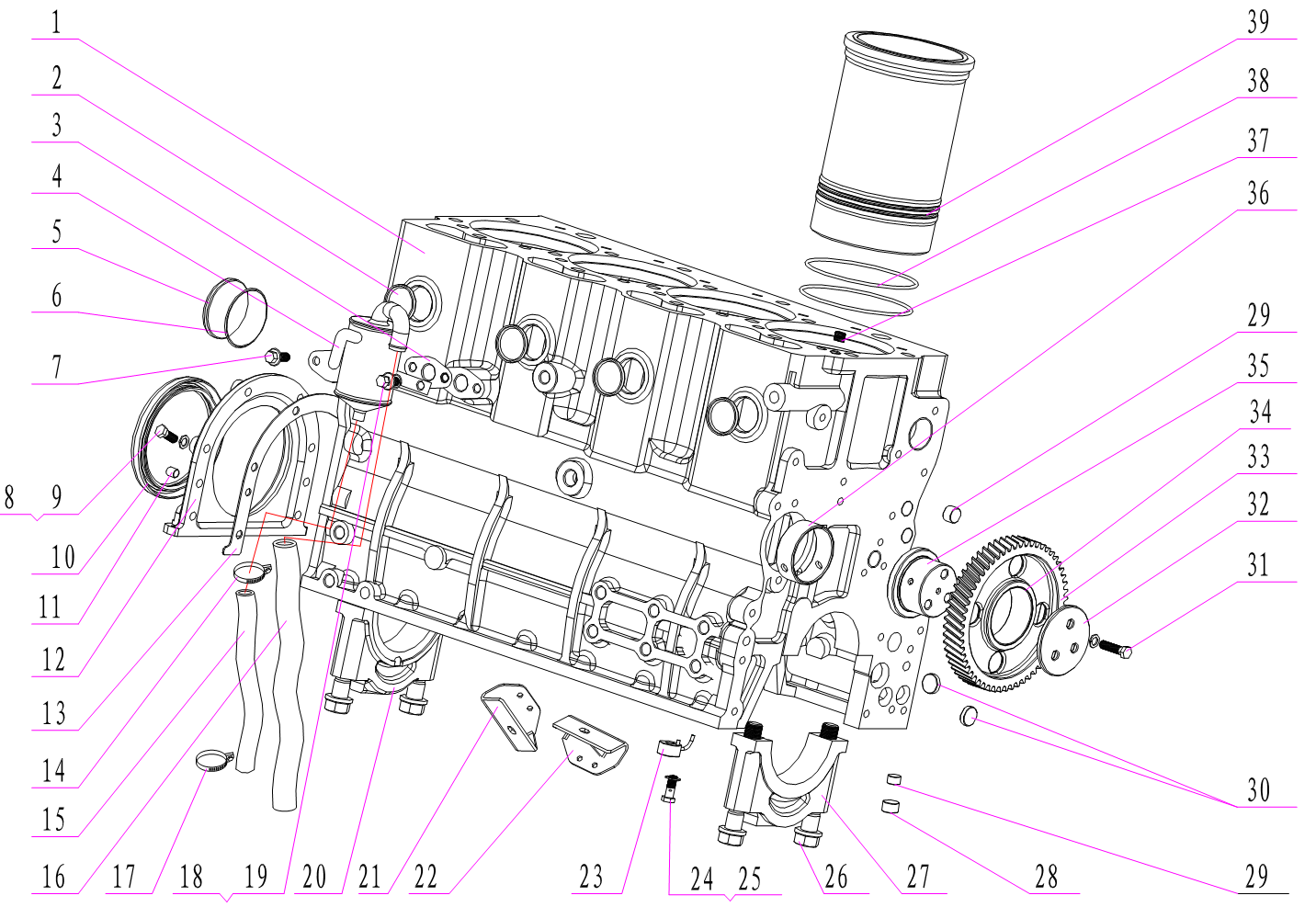 Cylinder Block Assembly